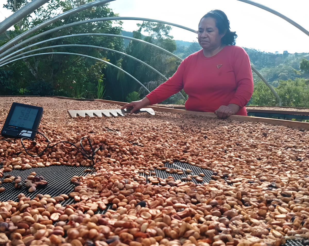 Café Especialidad