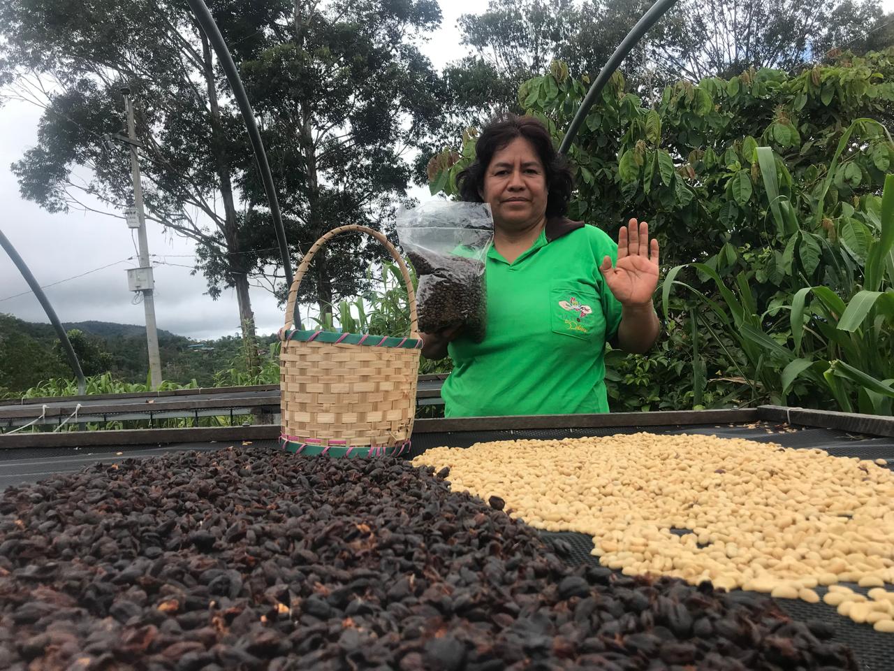 Café Especialidad